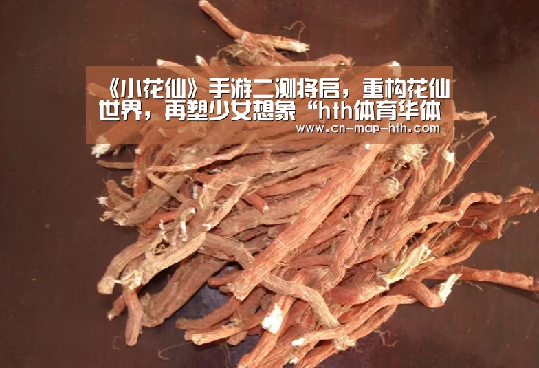 hth体育华体会